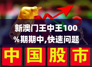 新澳门王中王100%期期中,精选解释解析落实|最佳精选