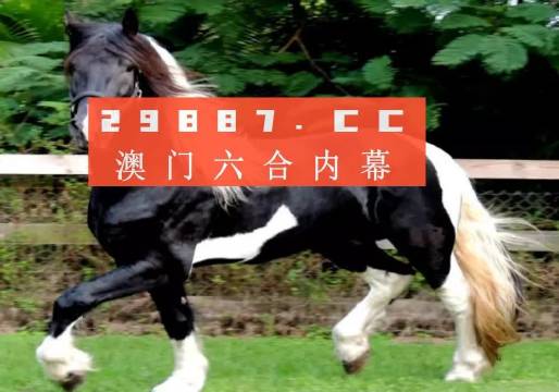 澳门和香港精准一肖一码一一中,词语释义解释落实|丰富释义