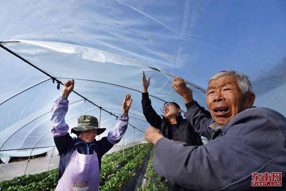 德化百货塑料批发市场德化百货塑料批发市场，繁荣的商贸中心与发展前景展望